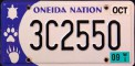 Nummernschilder / Kfz-Kennzeichen USA 2008 2000er Wisconsin WI tribe